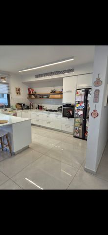 שייקה אופיר 8