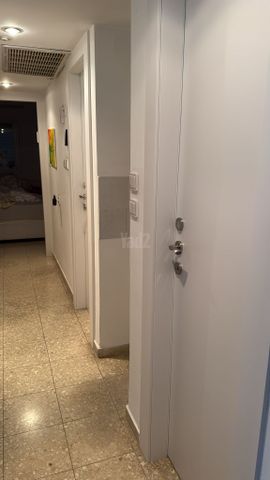 דוד טבצ'ניק 10