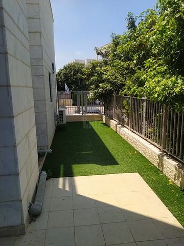 גפן 38