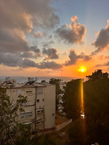דרך צרפת 55