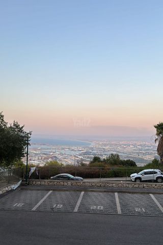 אריה דולצ'ין 4