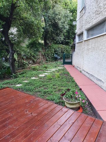 הנרקיסים 34