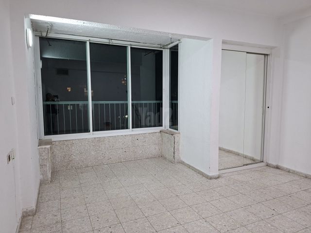 הפלמ"ח 29