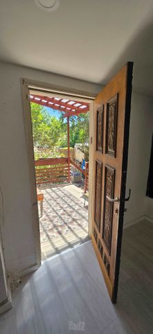 Tel Aviv-Yafo, Israel 6