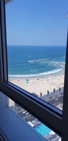 הירקון 
