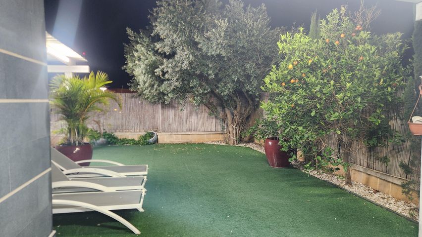 הרב שלמה מכלוף אורגד 3