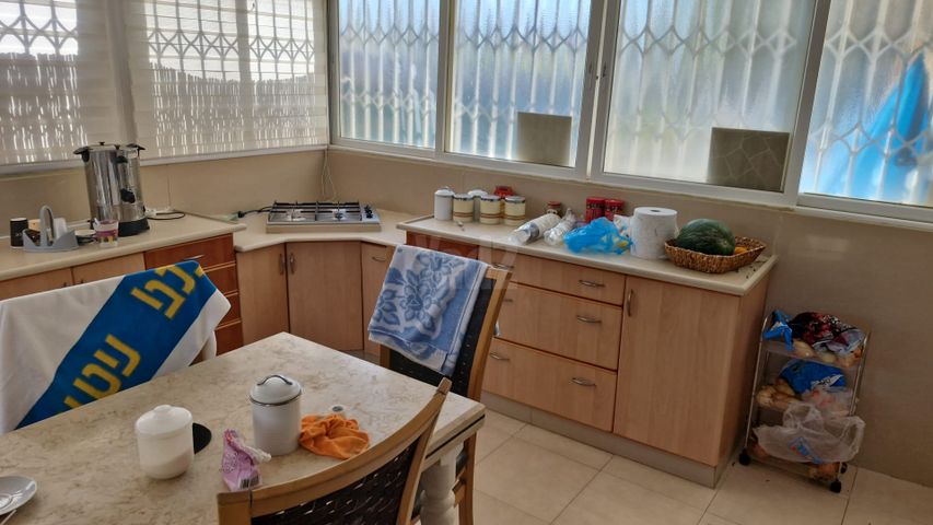 הגפן 29