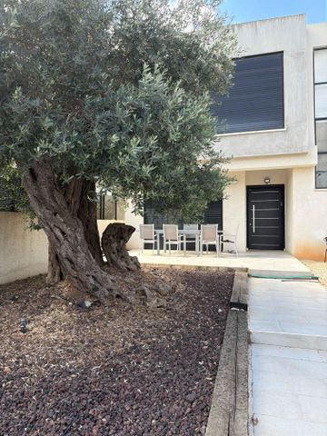 השזיף 14