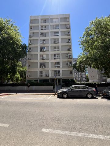 לוי אשכול 13