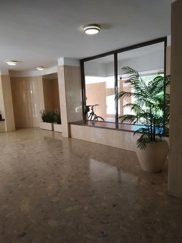 בר כוכבא 113