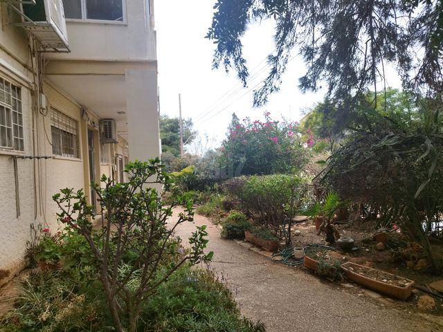 הרב מיימון 17