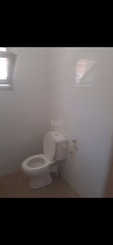 גרשון דובנבוים 12