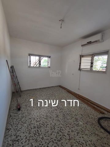 הארז 1