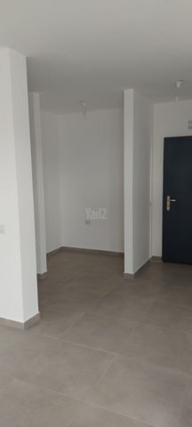 זכריה הנביא 17
