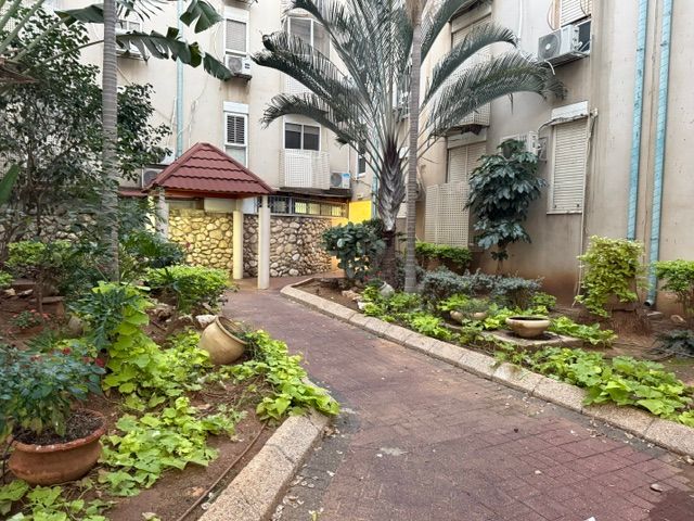 הצבעוני 41