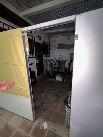 ברק בן אבינועם 4