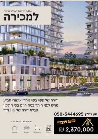 ארמון הנציב, תלפיות מזרח