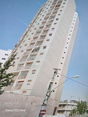 יד ושם 