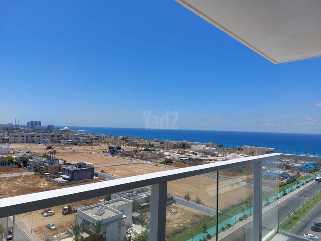 עיר ימים / הבלוט