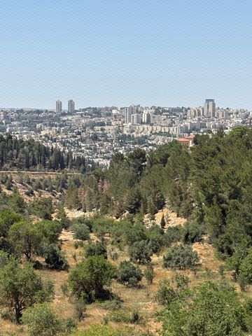 יפה רום 88