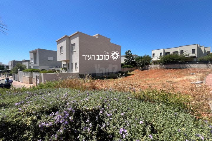 הדולב 