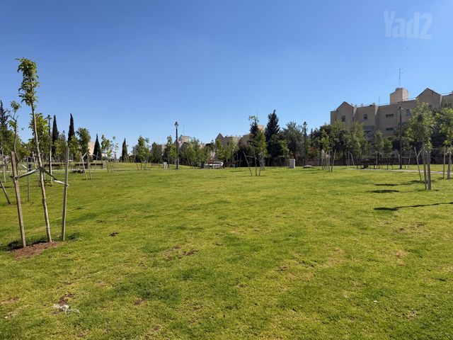 גג/ פנטהאוז למכירה בירושלים (תיווך) — 3