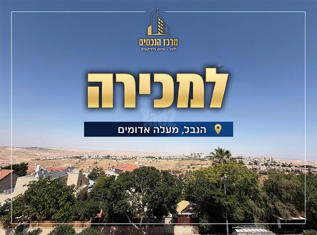 דירה