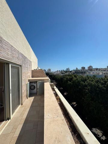 דיזנגוף 