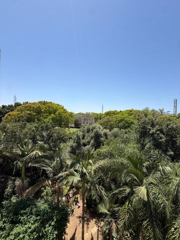 נחל הבשור 30