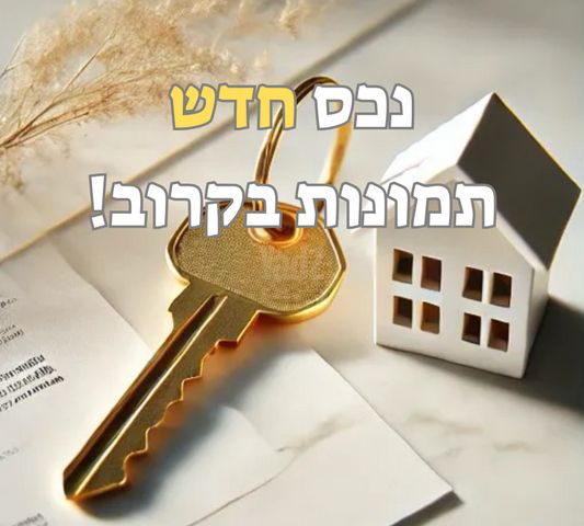 וייצמן 63