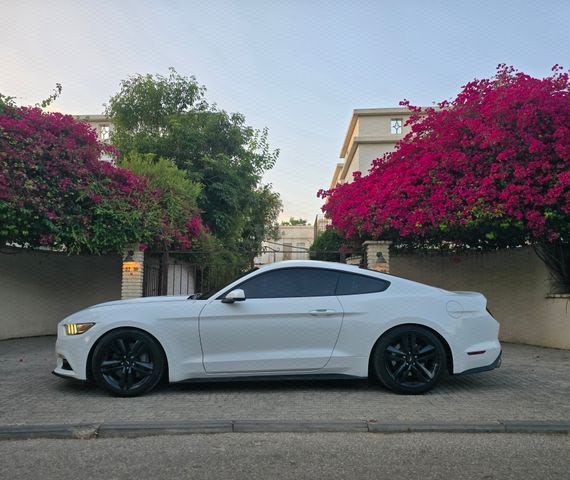מודעת רכב פורד מוסטנג