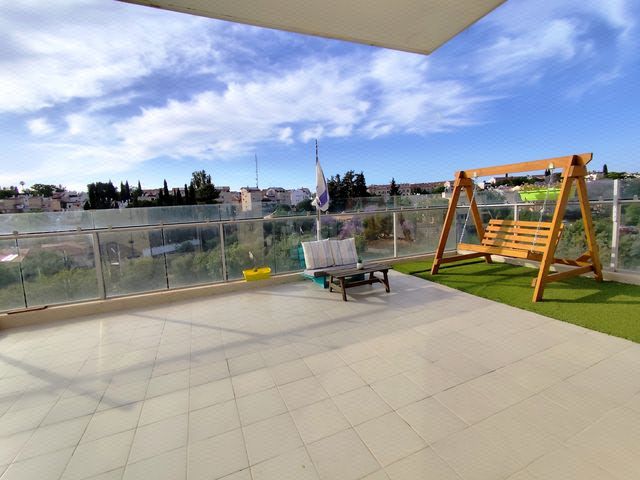 הערבה 65