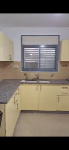 רויטל 4