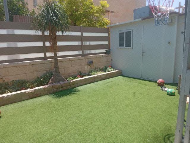 השיקמה 13