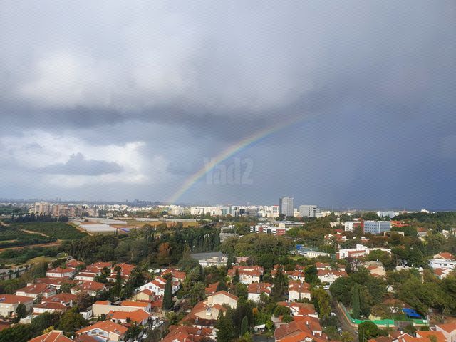 ציפורה טוב 3