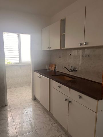 האחים זייגר 1