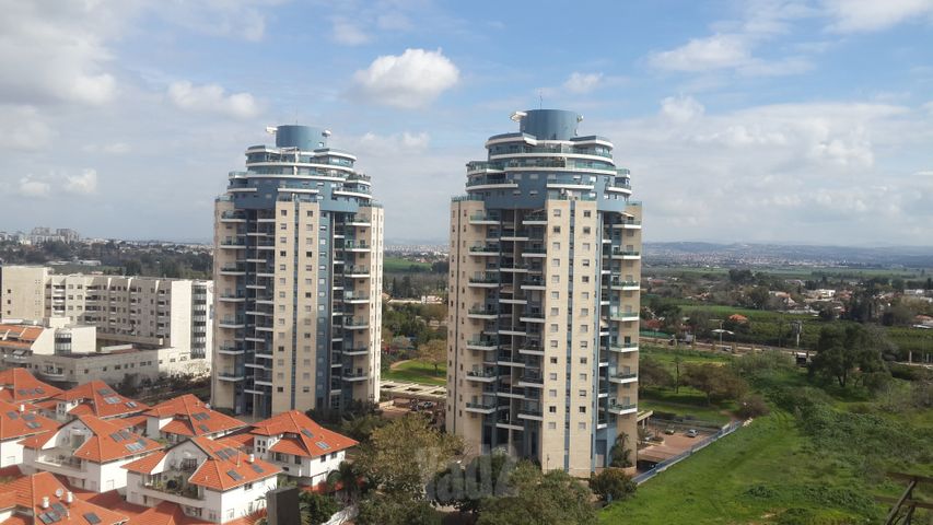 טווס 3