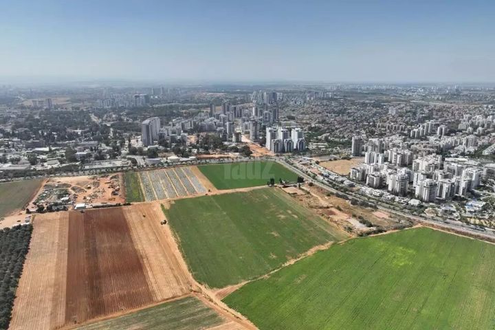 מגרשים, ראשון לציון