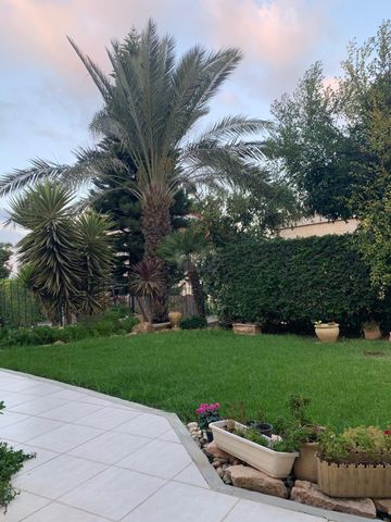 נווה מנחם