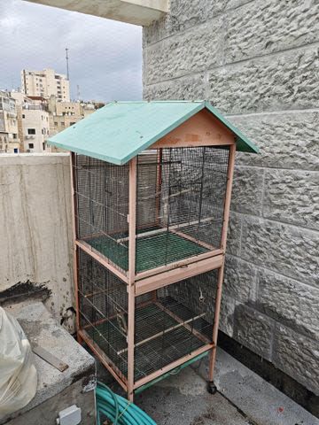 תמונת מודעה - חיות מחמד