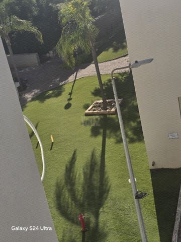 יצחק בן צבי 65