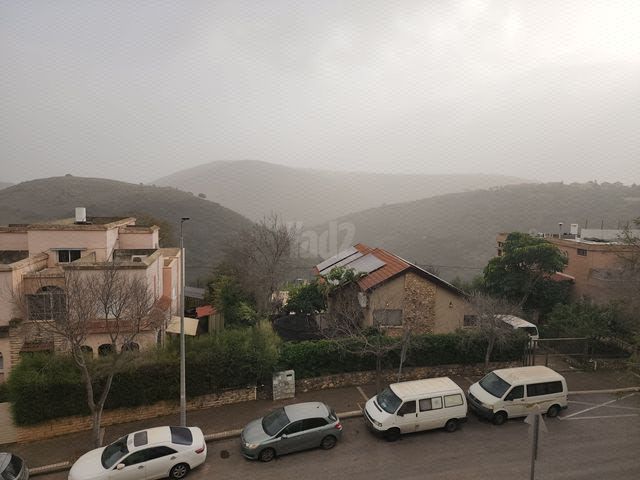 הפרחים 30