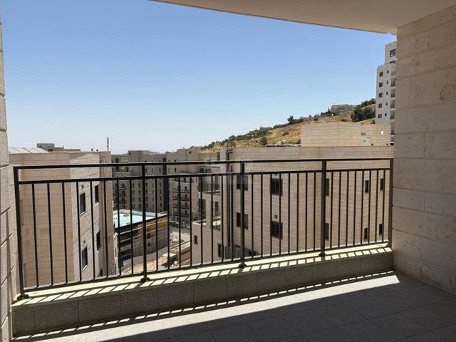 פרופסור יעקב נאמן 1