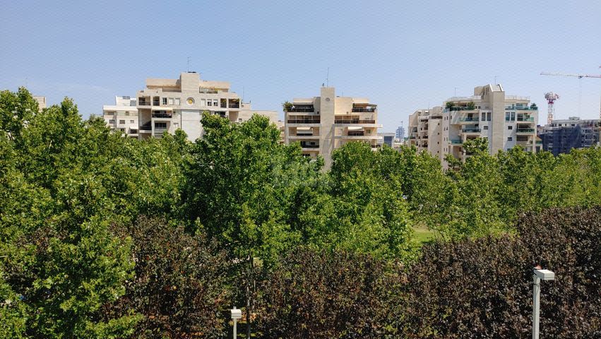 דניאל ליפשיץ 3