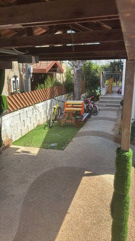ההדס 8