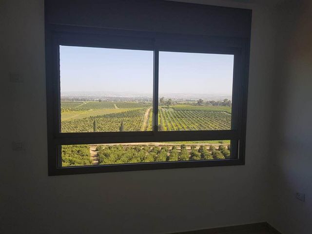 שושנה דמארי 13