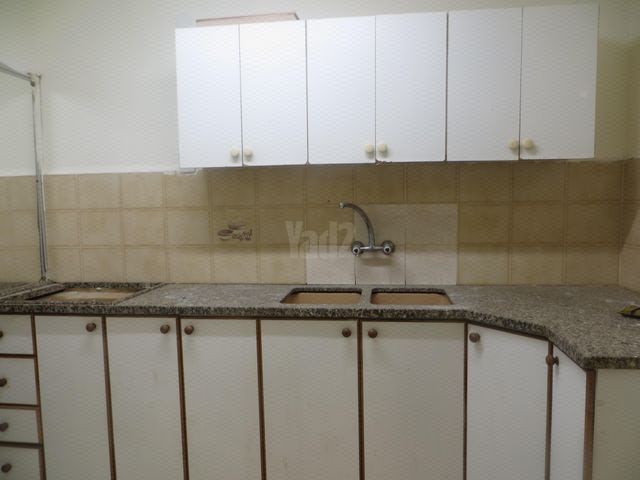 צבי פנקס 11