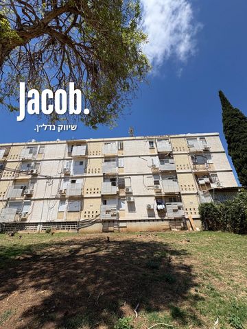 דירה, טירת כרמל