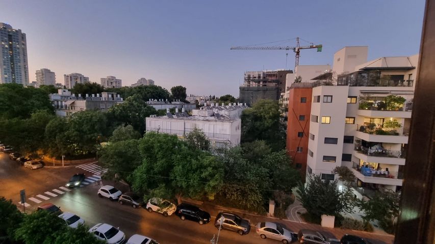 הרב הרצוג 