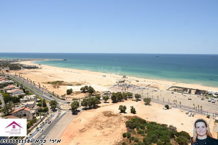 הדקל 